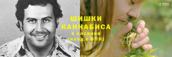 стафф Баксан