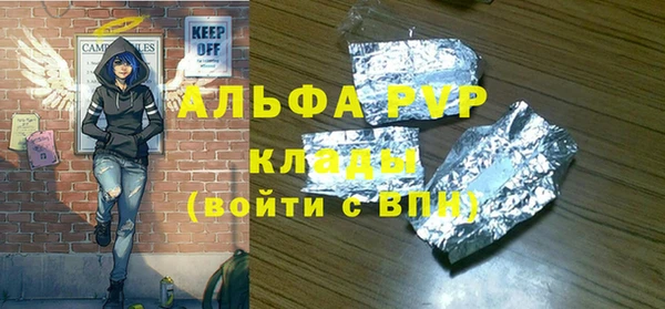 индика Аркадак