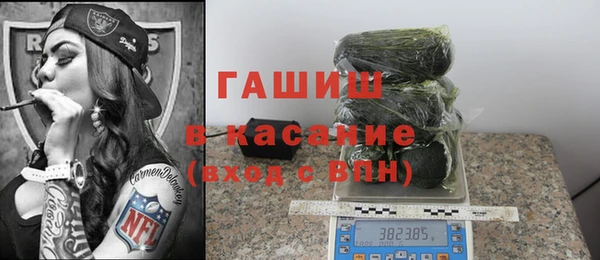 индика Аркадак