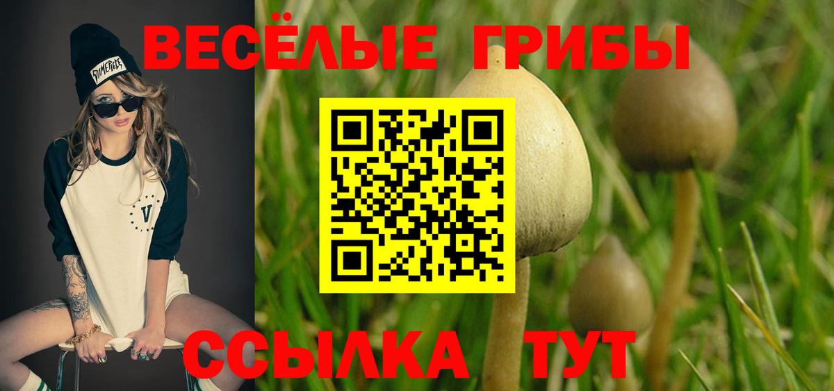 Галлюциногенные грибы Cubensis Унеча